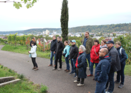 Wanderung SOFT-CONSULT